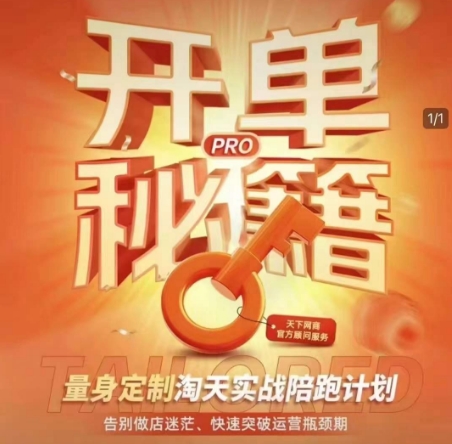 淘宝开单秘籍PRO，量身定制淘天实战陪跑计划，告别做店迷茫、快速突破运营瓶颈期(更新)-极客网创