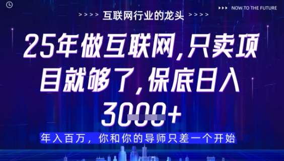 什么！25年你还在找项目做？风口早就变了，卖项目才是稳挣不赔【揭秘】-极客网创