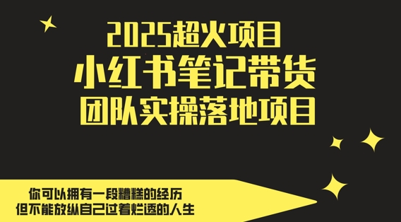 2025超火项目，副业最佳选择，小红书笔记带货团队实操落地项目，，轻松日入5张-极客网创