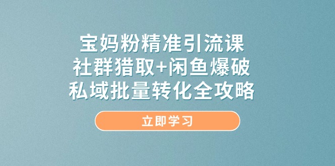宝妈粉精准引流课，社群猎取+闲鱼爆破，私域批量转化全攻略-极客网创