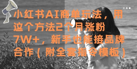 小红书AI商单玩法，用这个方法2个月涨粉7W+，新手也能接品牌合作(附全套指令模板)-极客网创