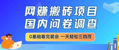 网创搬砖项目，国内问卷调查，小白轻松上手，一天三四张的也不难，干就完了【揭秘】-极客网创