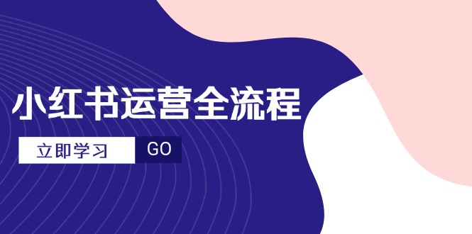小红书运营全流程，爆款选题文案，视频制作技巧，进阶达人宝典-极客网创