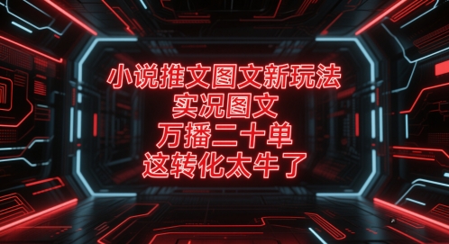 小说推文图文新玩法，实况图文，万播二十单，这转化太牛了！-极客网创