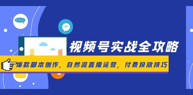 视频号实战全攻略，爆款脚本创作，自然流直播运营，付费投放技巧-极客网创