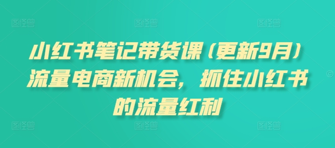 小红书笔记带货课(更新25年5月)流量电商新机会，抓住小红书的流量红利-极客网创
