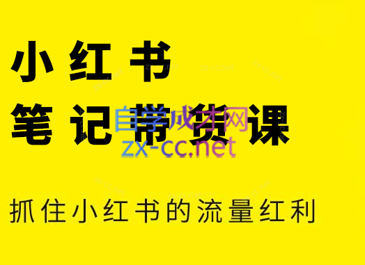 张宾·小红书笔记带货课(更新5月)-极客网创