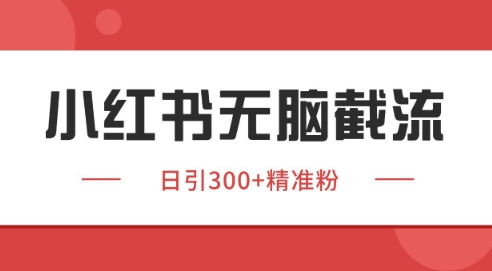 小红书截流同行客源，独家野路子获客玩法 日引200+暴力获客【揭秘】-极客网创