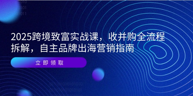 2025跨境致富实战课，收并购全流程拆解，自主品牌出海营销指南-极客网创