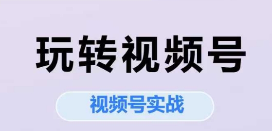 玩转视频号，视频号实战系列课-极客网创