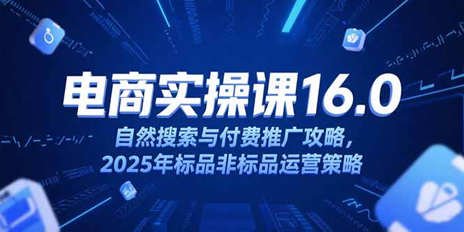 淘宝电商运营课16.0，自然搜索与付费推广攻略，2025年标品非标品运营策略-极客网创
