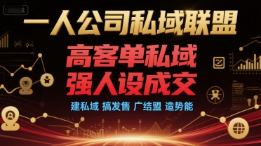 一人公司私域联盟，高客单私域，强人设成交，建私域 搞发售 广结盟 造势能-极客网创