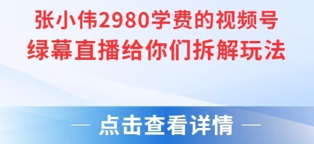张小伟2980付费额视频号绿幕直播给你们拆解玩法-极客网创