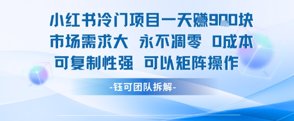 小红书冷门项目一天收益9张，市场需求大，0成本，可复制性强可以矩阵操作-极客网创