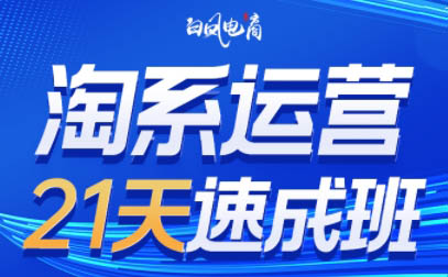 白凤电商·淘系运营21天速成班(更新7月)-极客网创