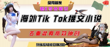 海外tiktok小说推文暴力项目，高停留率，高转化率，上手后一天搞顿饭钱不是问题-极客网创