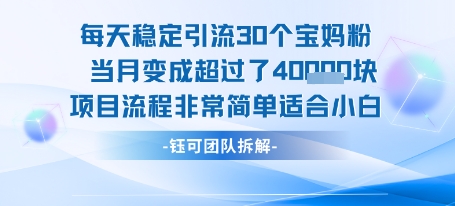 每天稳定引流30个人 当月变成超过了4个W项目流程非常简单适合小白-极客网创