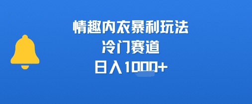 情趣内衣暴利玩法，冷门赛道，日入1k+-极客网创