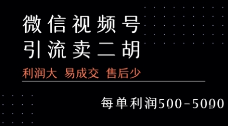 视频号卖二胡教程，利润大 易成交 售后少，一单利润5张+-极客网创