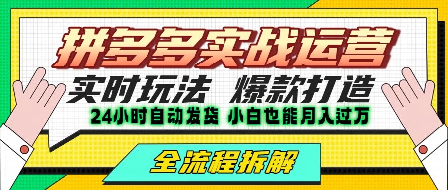 拼多多最新实战运营高投产：长久稳定项目，单店利润一天三位数-极客网创