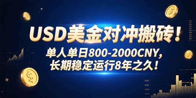 USD美金对冲搬砖!单人单日800-2000CNY，长期稳定运行8年之久!-极客网创