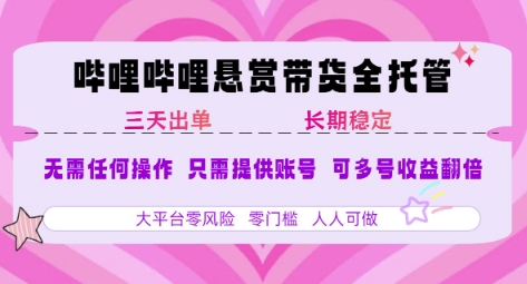 2025年B站风口带货项目 仅需提供账号 全程托管 轻松月入1w+-极客网创