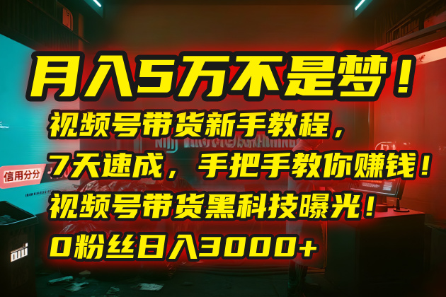 月入5万不是梦！视频号带货新手教程，7天速成，手把手教你赚钱！视频号…-极客网创
