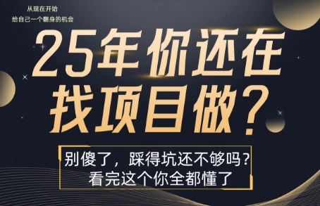 25年，你还在疯狂的找项目吗？别傻了，看完这个你都懂了【揭秘】-极客网创