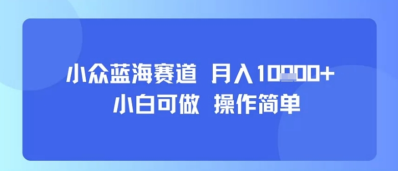 小众蓝海赛道，小白可做，操作简单，每天30分钟，月入1W+-极客网创