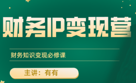 有有老师·财务IP变现营，财务知识变现必修课-极客网创