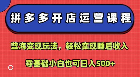 拼多多开店运营课程：蓝海变现玩法，轻松实现睡后收入，零基础小白也可日入5张-极客网创