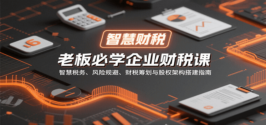 老板必学企业财税课：智慧税务、风险规避、财税筹划与股权架构搭建指南-极客网创