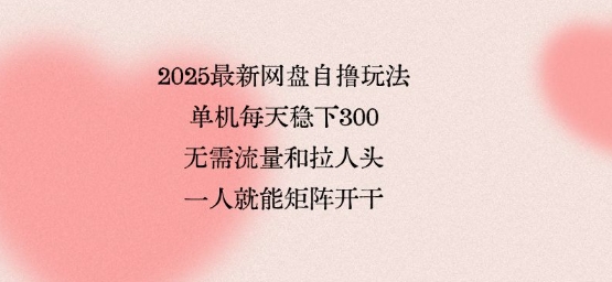 2025最新网盘自撸玩法,单机每天稳下3张,无需流量和拉人头,一个人就可轻松矩阵,全网独一份【揭秘】-极客网创