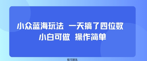 小众蓝海玩法 一天搞了四位数 小白可做 操作简单-极客网创