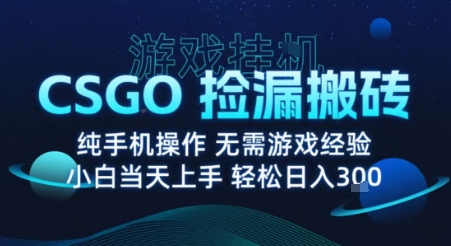 8月最新游戏搬砖，CSGO纯挂G，不需要玩游戏，实现真挂G，月入1W+【揭秘】-极客网创