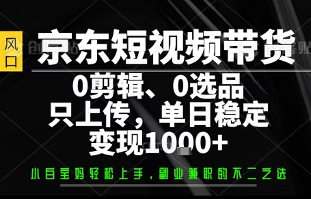 你出账号，我来运营，保底日入1k+，开启躺賺模式【揭秘】-极客网创