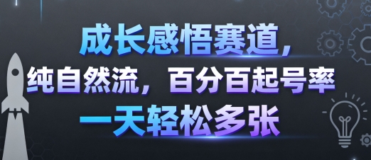 成长感悟赛道，纯自然流，百分百起号率 一天轻松多张-极客网创