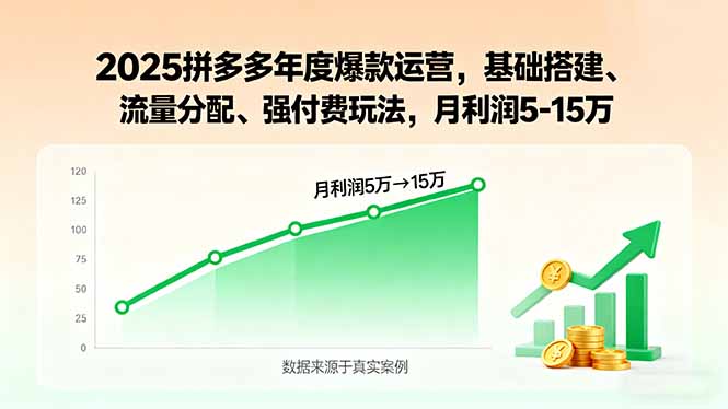 2025拼多多年度爆款运营，基础搭建、流量分配、强付费玩法，月利润5-15万-极客网创