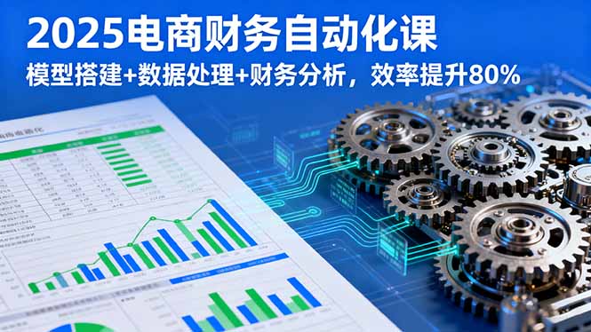 2025电商财务自动化课，模型搭建+数据处理+财务分析，效率提升80%-极客网创