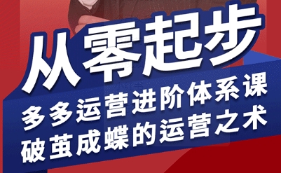拼多多运营进阶系统课，从零起步，多多运营进阶体系课，破茧成蝶的运营之术(更新9月)-极客网创