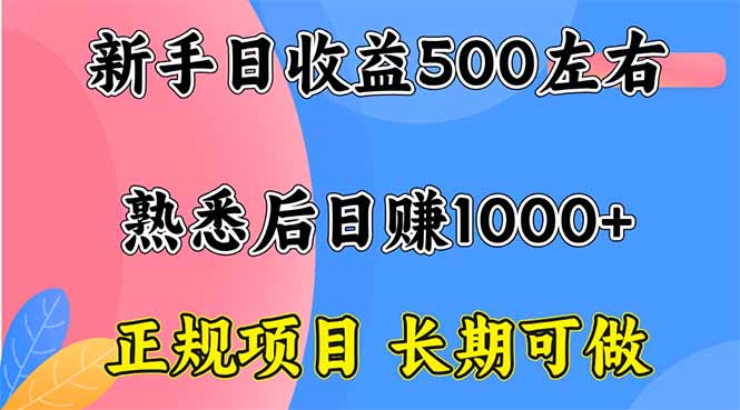 新手日收益500+ 正规项目 长期可做-极客网创