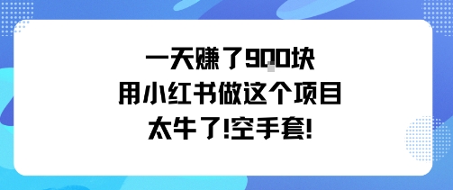 一天挣了9张用小红书做这个项目太牛了，空手套-极客网创