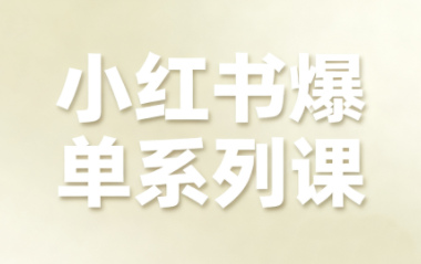 尼采老师·小红书爆单系列课-极客网创