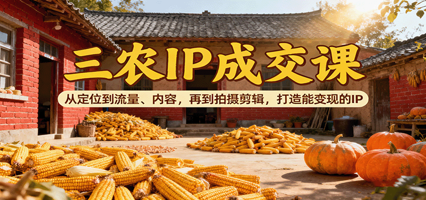 三农IP成交课：从定位到流量、内容，再到拍摄剪辑，打造能变现的IP-极客网创