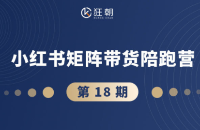 盗坤·抖音小红书视频号短视频带货与直播变现(11-18期)-极客网创