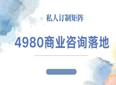4980商业咨询师落地课程-ip运营高客单教程-极客网创