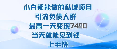 2025年小白都能做的私域项目引流负债人群最高一天变现1k+高变现难度低当天就能见到钱上手快-极客网创