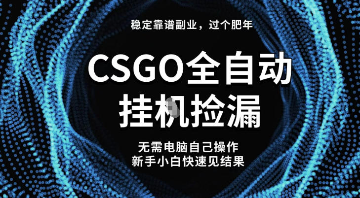 【稳定副业】全球最热门游戏CSGO全自动捡漏，最新玩法，新手小白日入5张+【揭秘】-极客网创