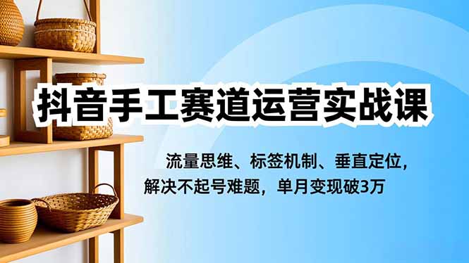 抖音手工赛道运营实战课，流量思维、标签机制、垂直定位，解决不起号难题，单月变现破3万-极客网创