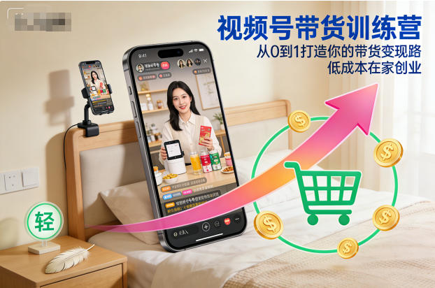 视频号带货训练营，从0到1打造你的带货变现路，低成本在家创业-极客网创